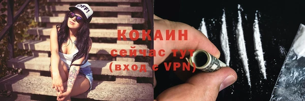 молекула духа Алзамай